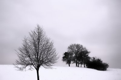 Solitude vs groupe_5250212705_l.jpg